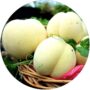 d86a98545888eb759de9cd733ecf4646