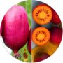 Mini Kiwi Hardy Red wysoka mrozoodporność KRZEW 40-80 cm