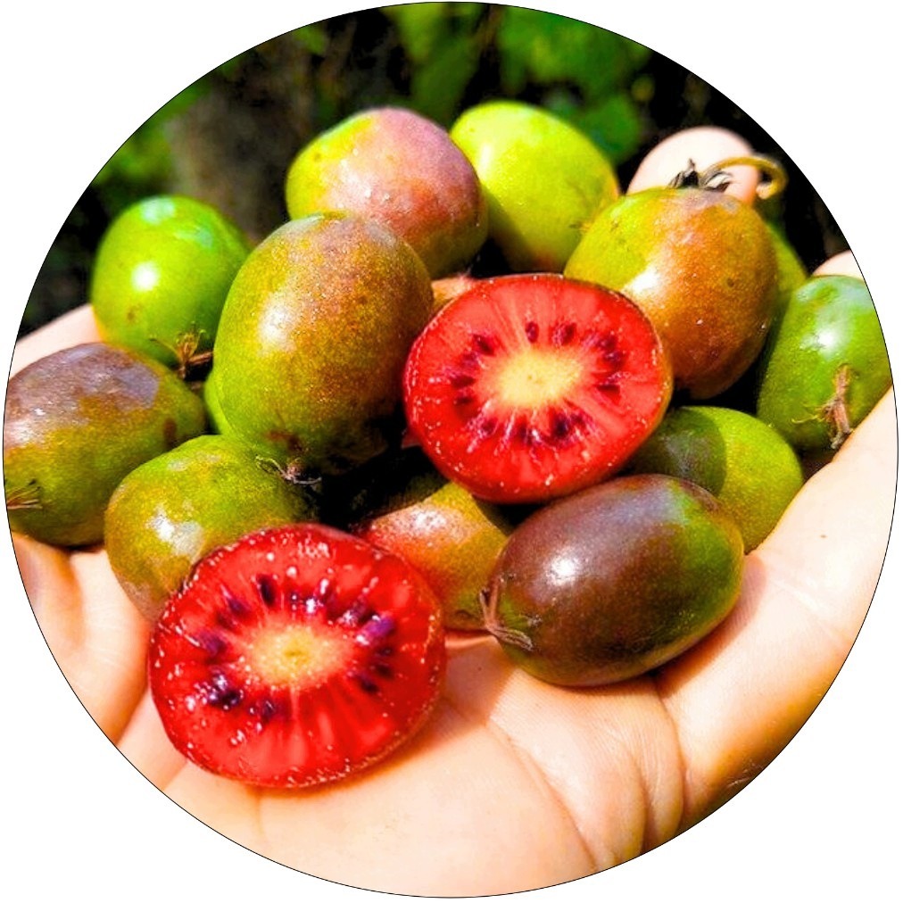aa04a88ec98eff1e13db3593a0874735