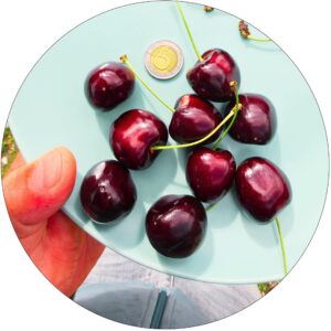 Czereśnia Burlat bardzo wczesna ogromne owoce