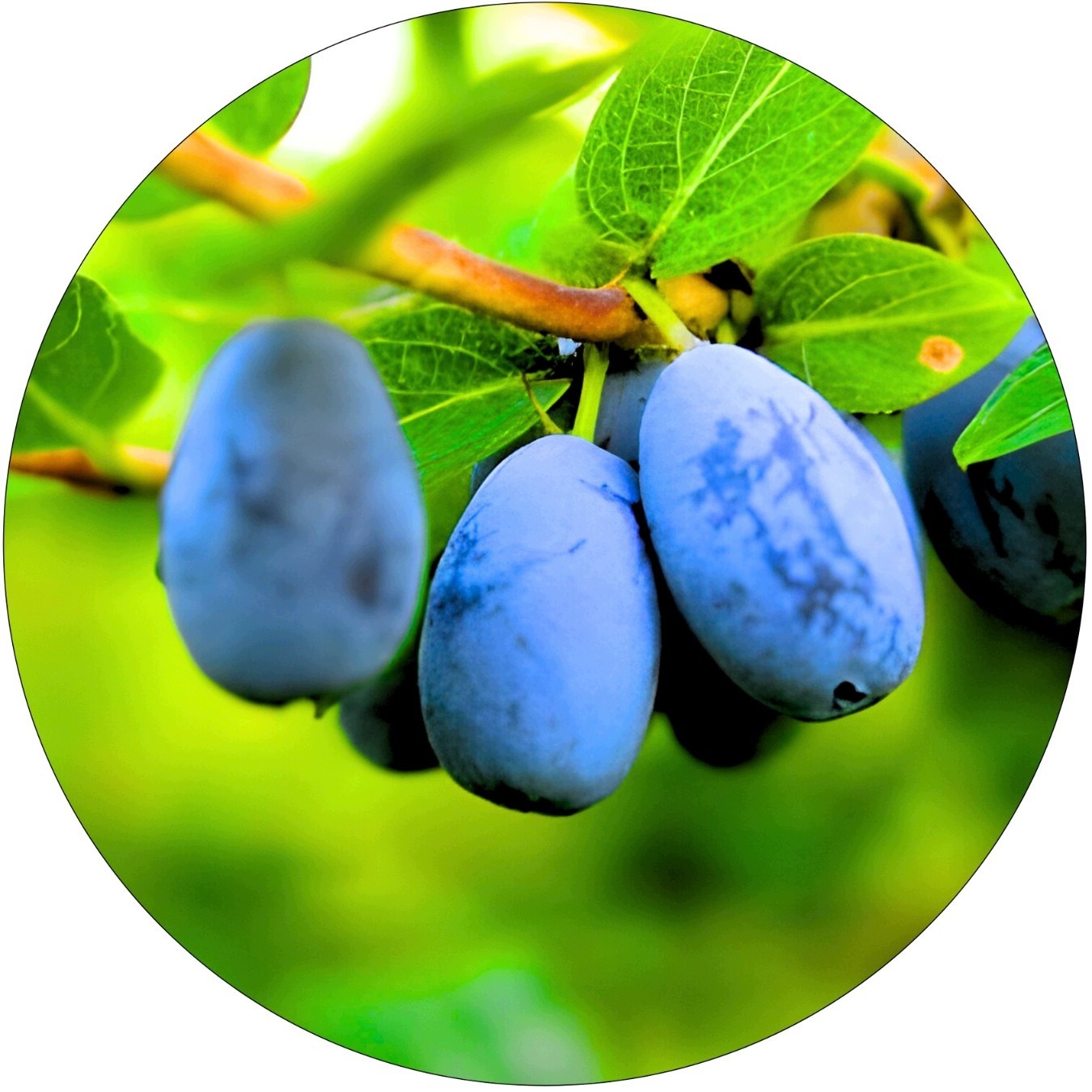 0f980138482b4a00441d0a35337a71a3